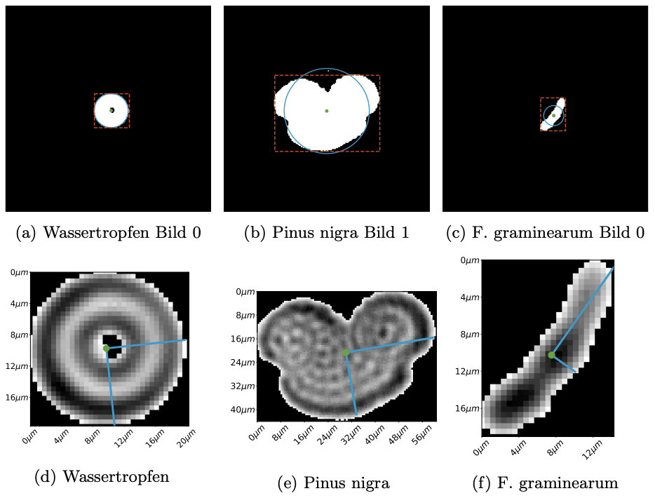 Partikel-Morphologie aus holographischen Bildern