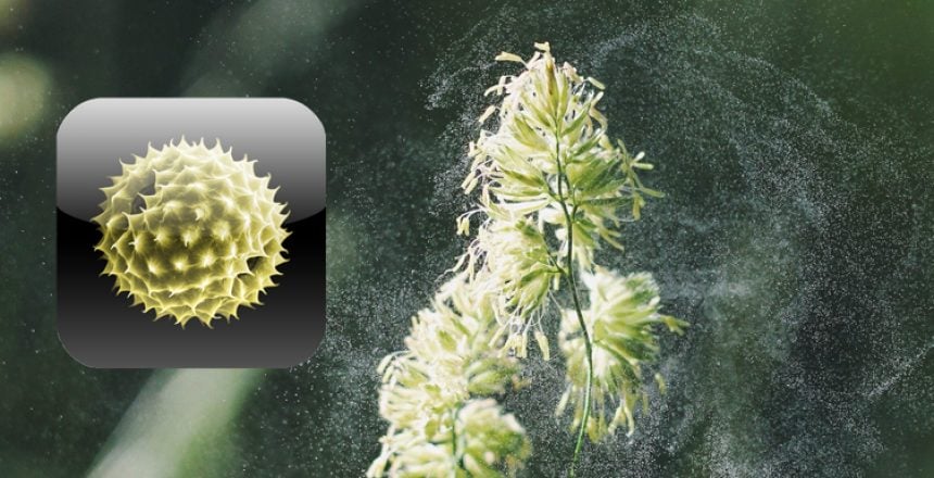 Pollen-News App - Swisens