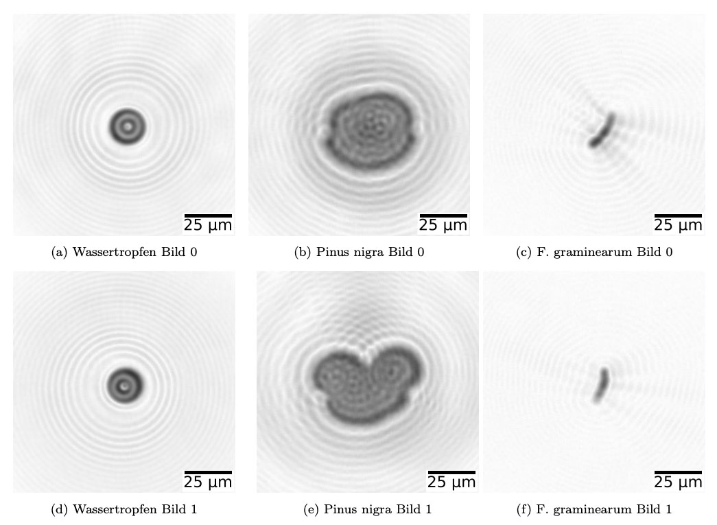 Beispiel_Bilder_Holographie_SwisensPoleno_DE