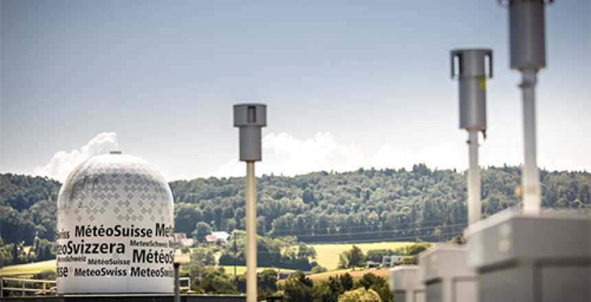 Pollen in Echtzeit