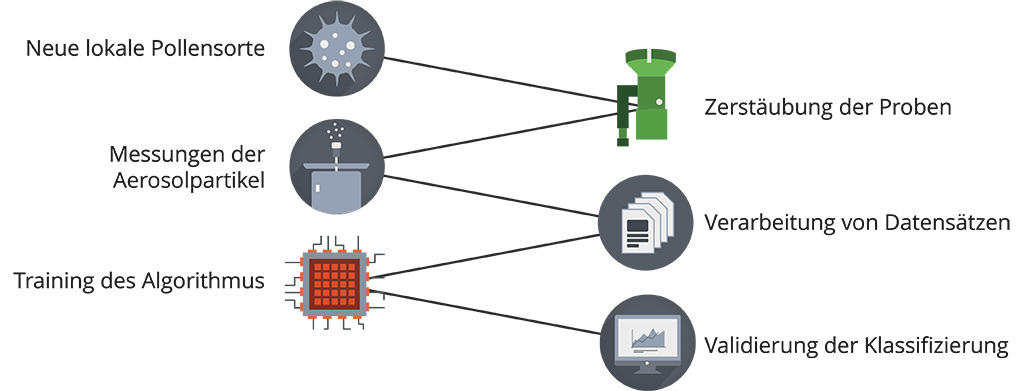 pollen identifizieren trainings prozess