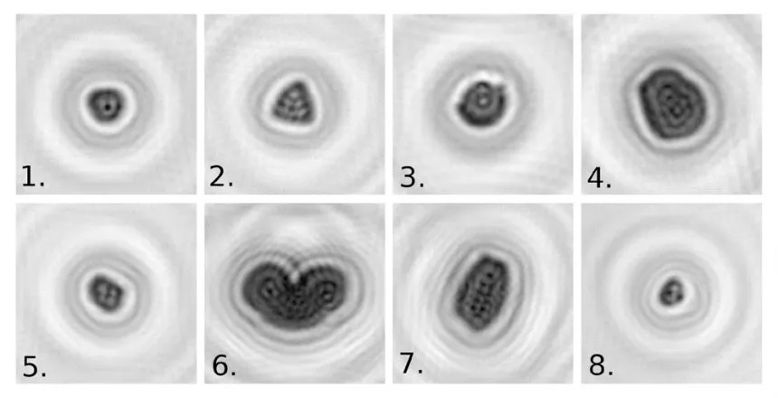 Real-time pollen monitoring using digital holography